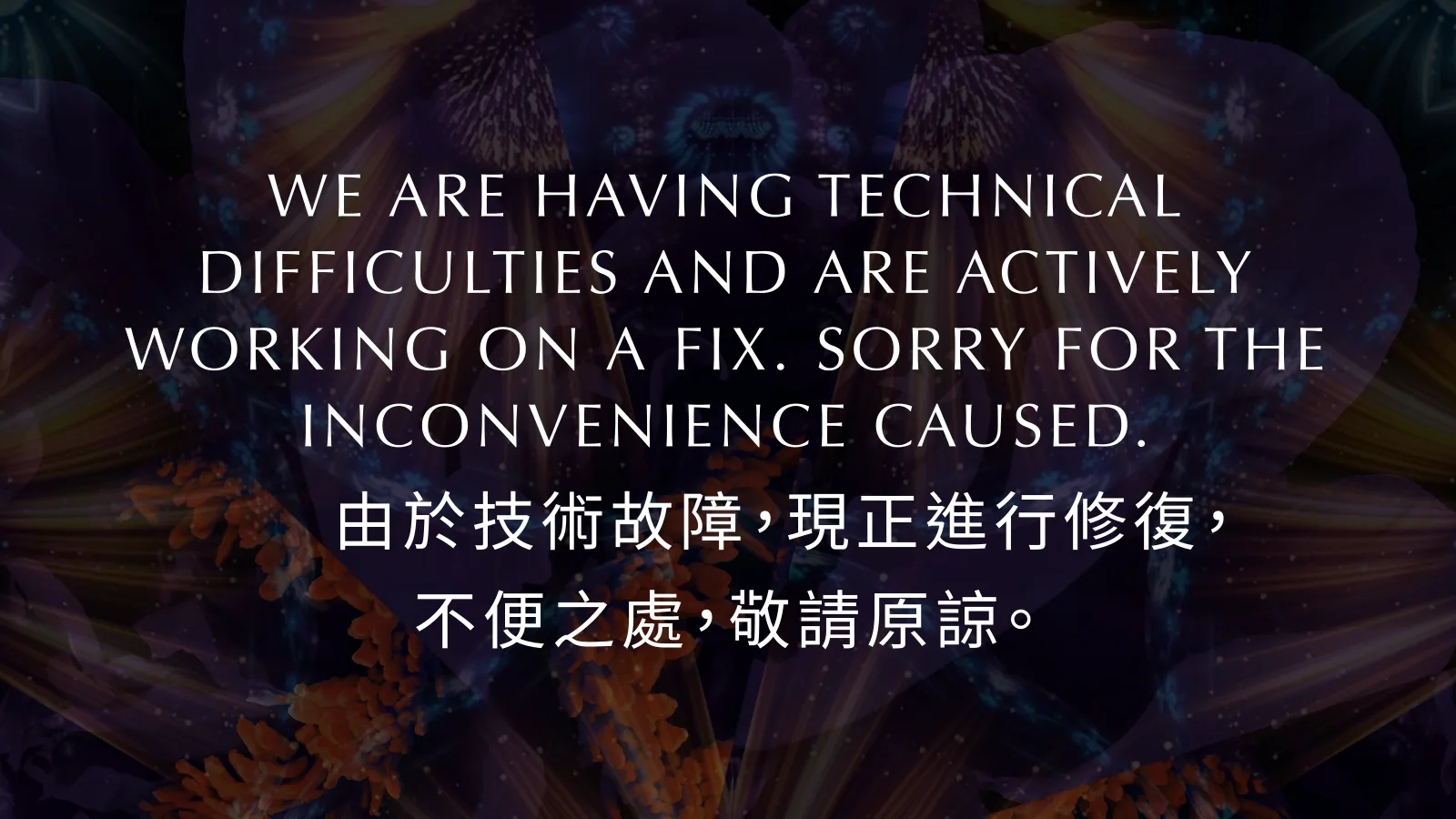 Bilingual technical-difficulties standby screen